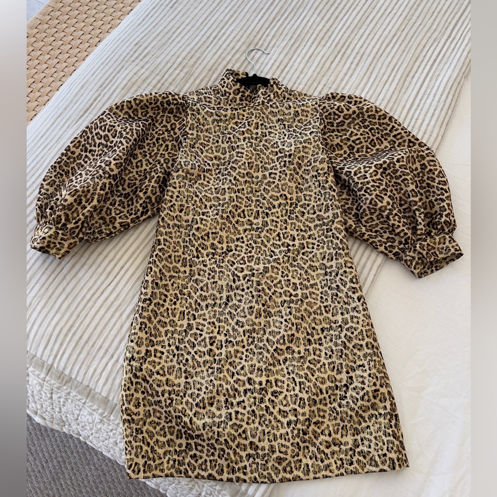 Zara cheetah dress (xs) $25